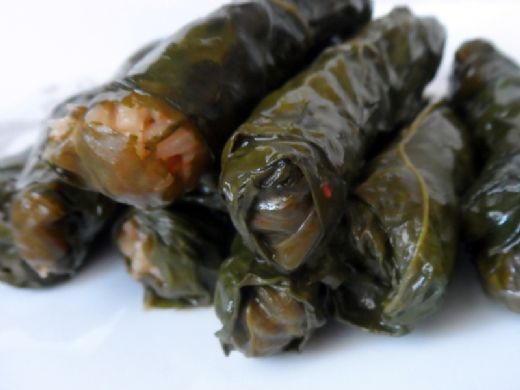 Paz Dolmas